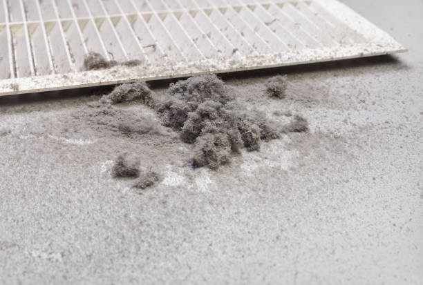 Best Affordable Air Duct Cleaning  in Woodland Heights, PA