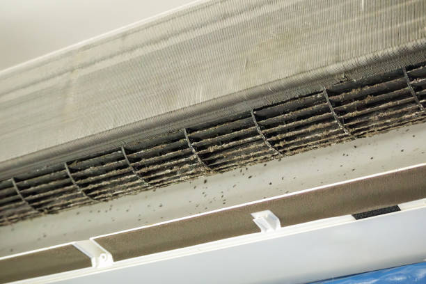 Best Affordable Duct Cleaning Services  in Woodland Heights, PA